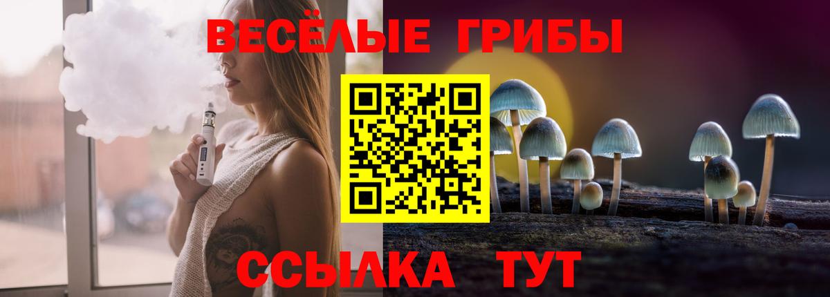 Кинешма  Галлюциногенные грибы прущие грибы  Вход с VPN  наркошоп  Галлюциногенные грибы GOLDEN TEACHER 